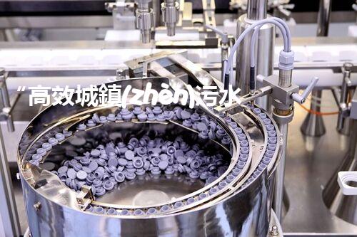 “高效城鎮(zhèn)污水處理流程，守護(hù)碧水藍(lán)天新篇章”